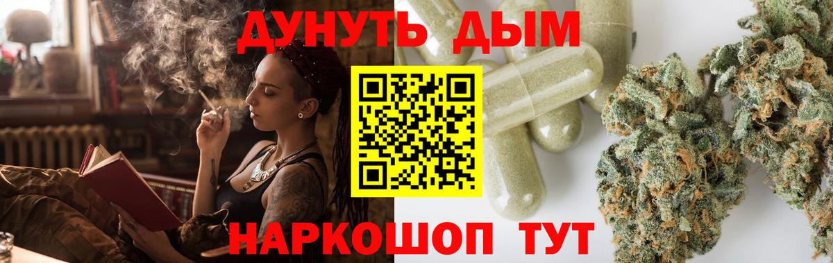 Бошки марихуана планчик  Вход с VPN  Марихуана планчик  Калуга 